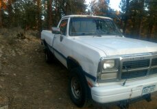 Dodge D/W Truck Classics for Sale - Classics on Autotrader