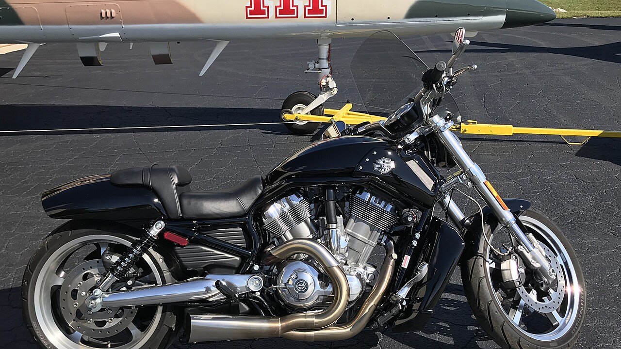 harley davidson muscle for sale 2017 harley davidson v rod muscle for sale near leesburg harley davidson muscle for sale 2017 harley davidson v rod muscle for sale near leesburg