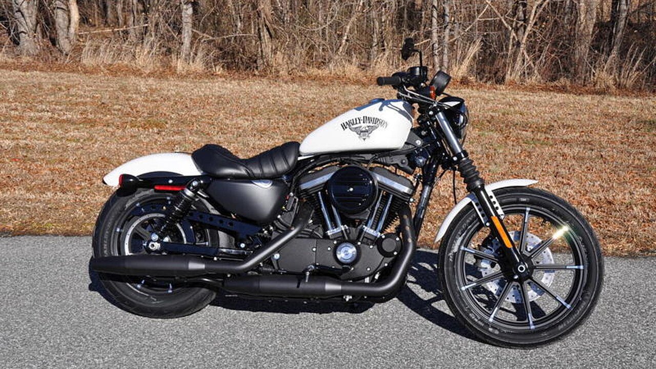 Harley Davidson Iron For Sale Harley Davidson Iron For Sale